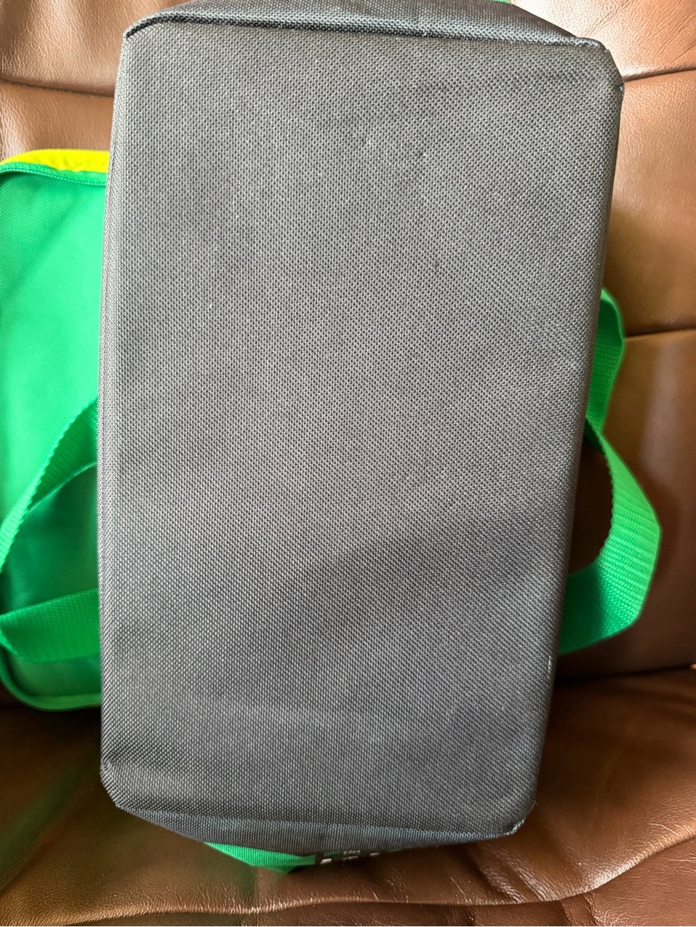 Trader Joe’s Limited Edition Emerald Insulated Mini Lunch Bag - Picture 12 of 12